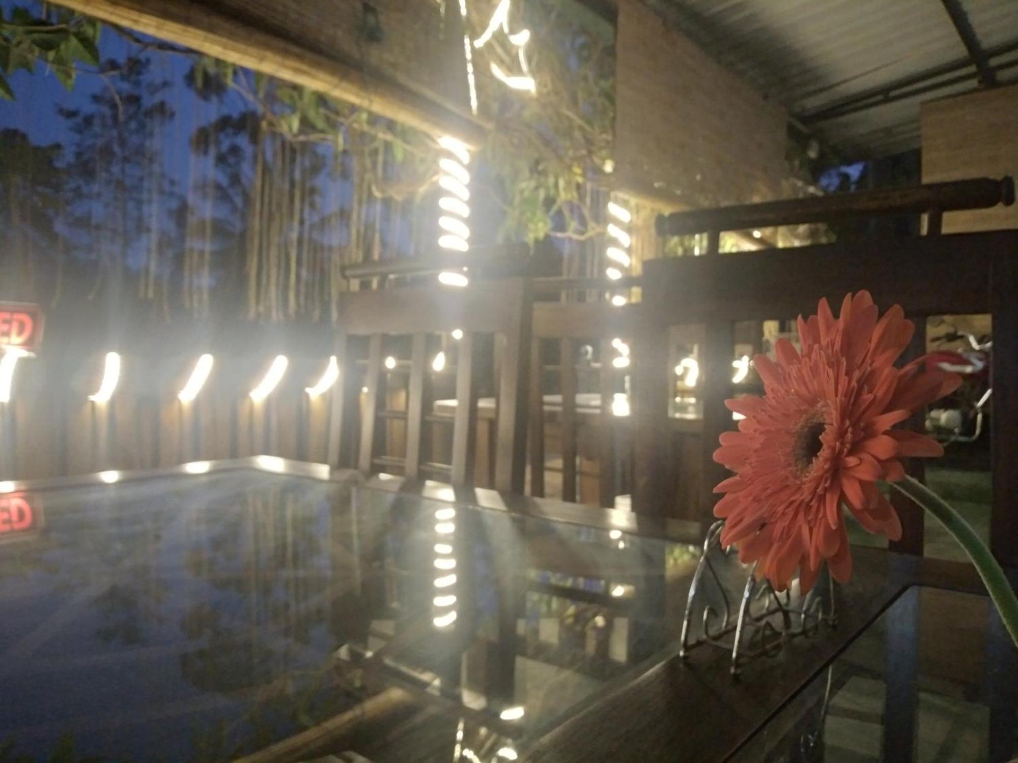 Ella Nature Life Guest & Restaurant -Free Pickup From Ella Exterior photo