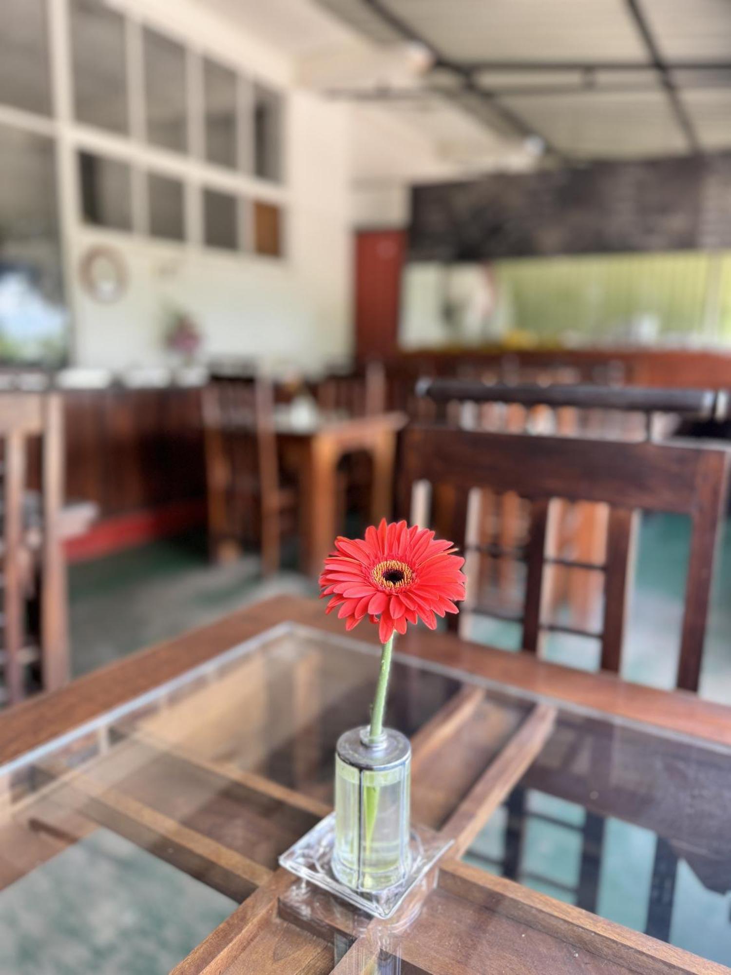 Ella Nature Life Guest & Restaurant -Free Pickup From Ella Exterior photo